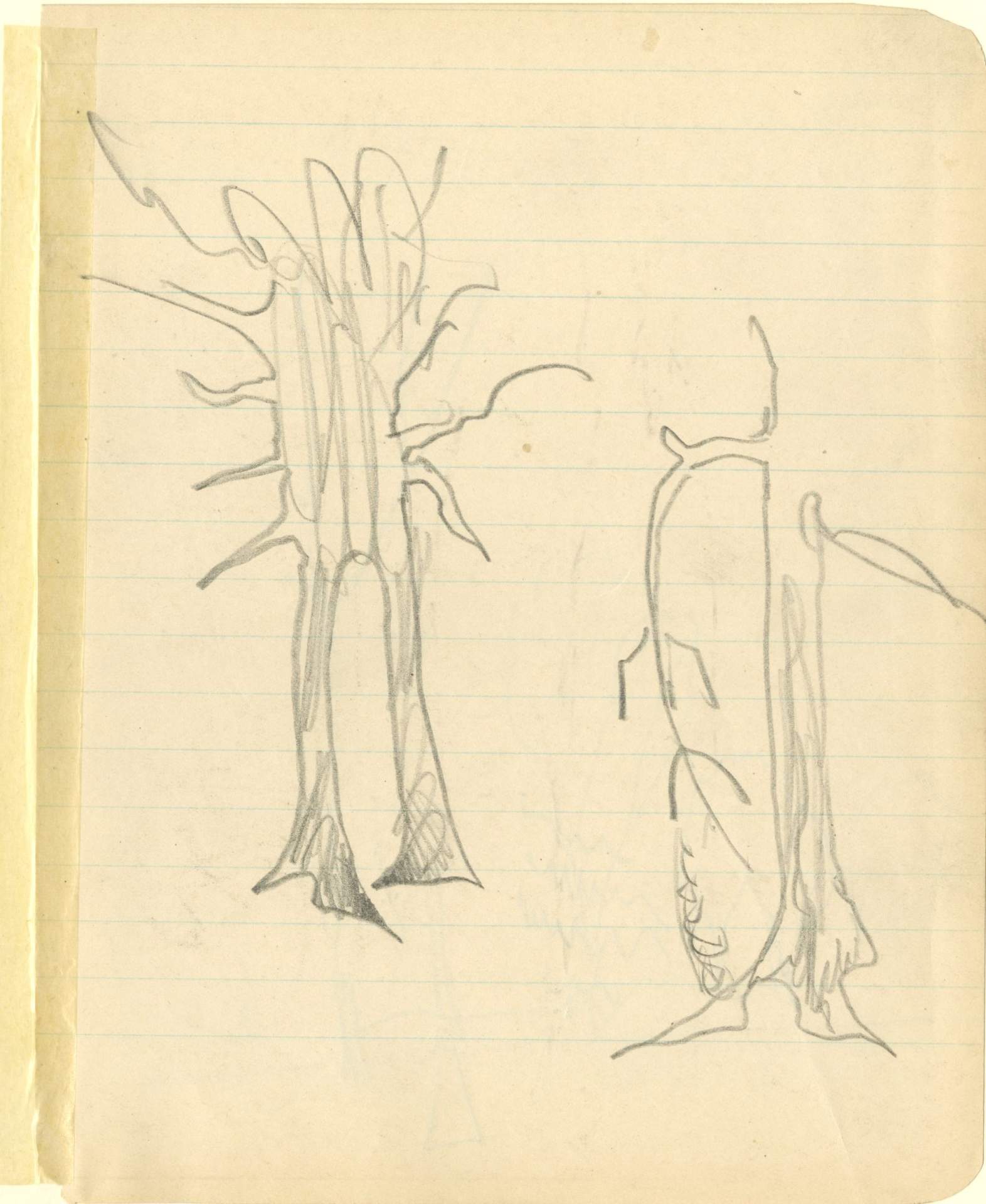 Two trees with sprawled branches