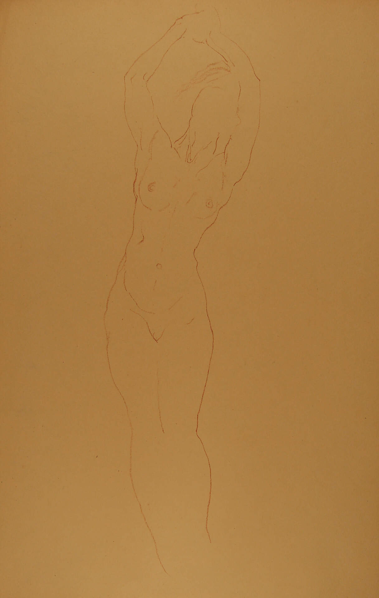 Standing Female Nude