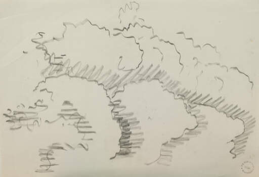 Foliage Study