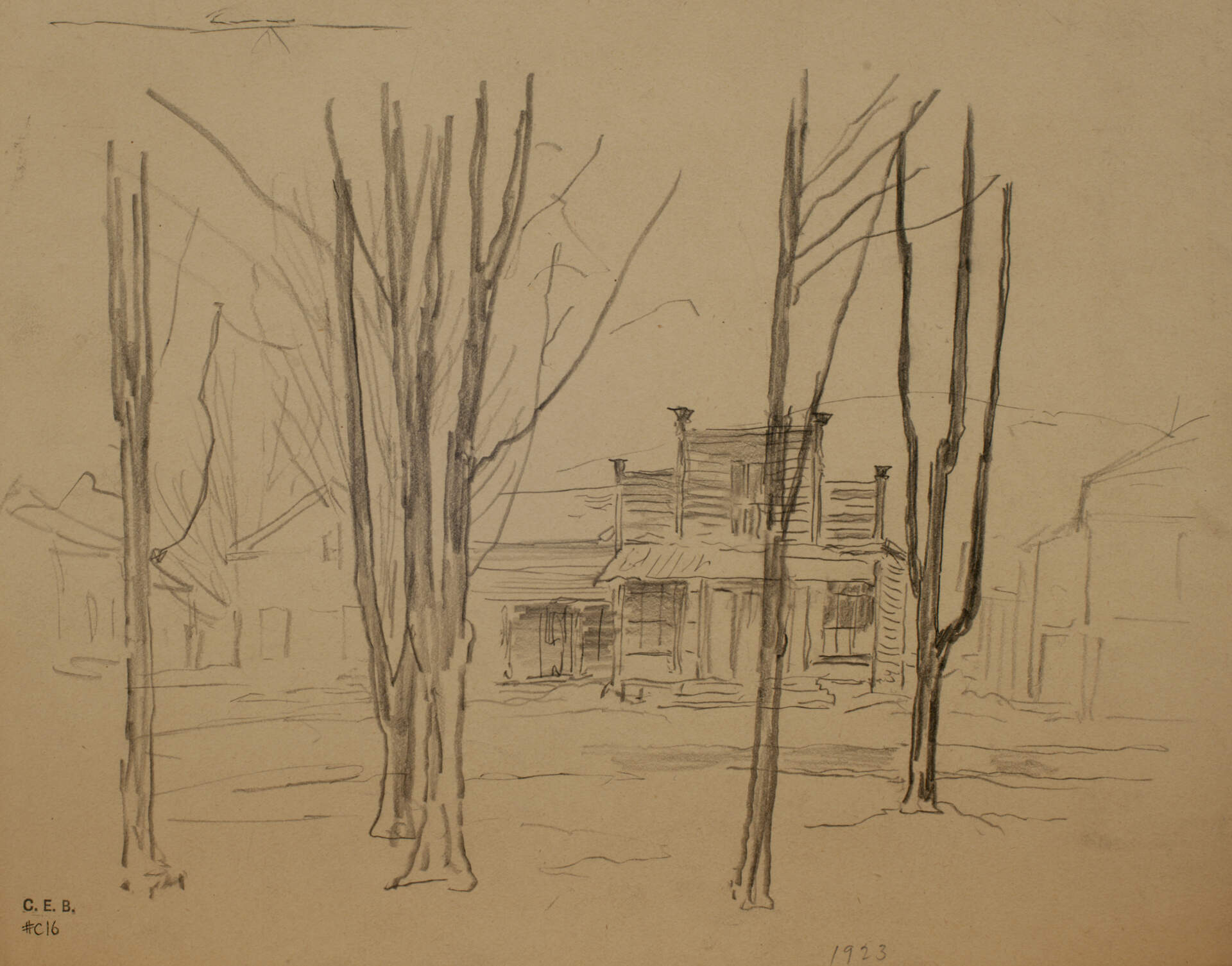 Trees and Buildings In Winter