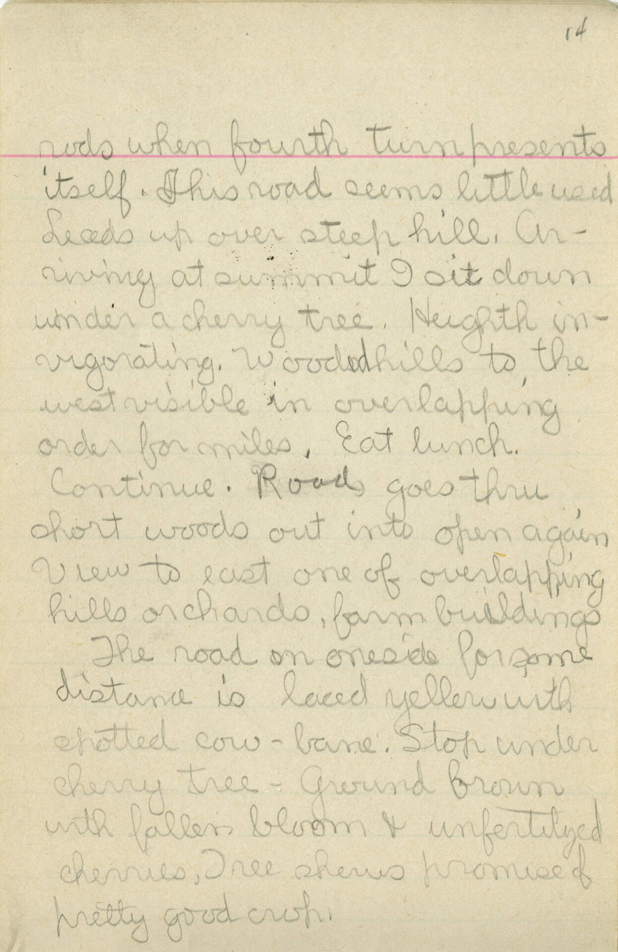Untitled (Journal Pg 14)
