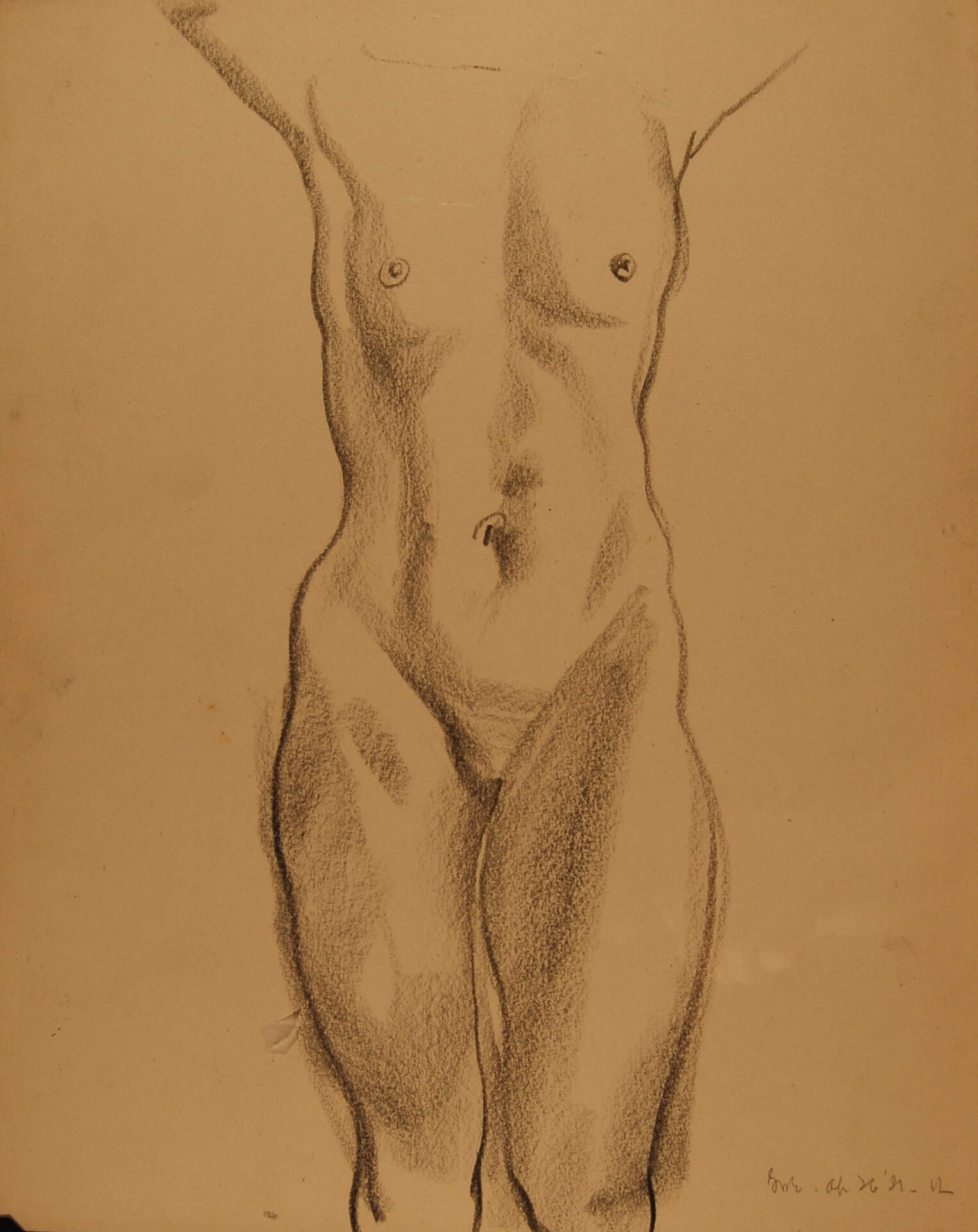 Female Torso