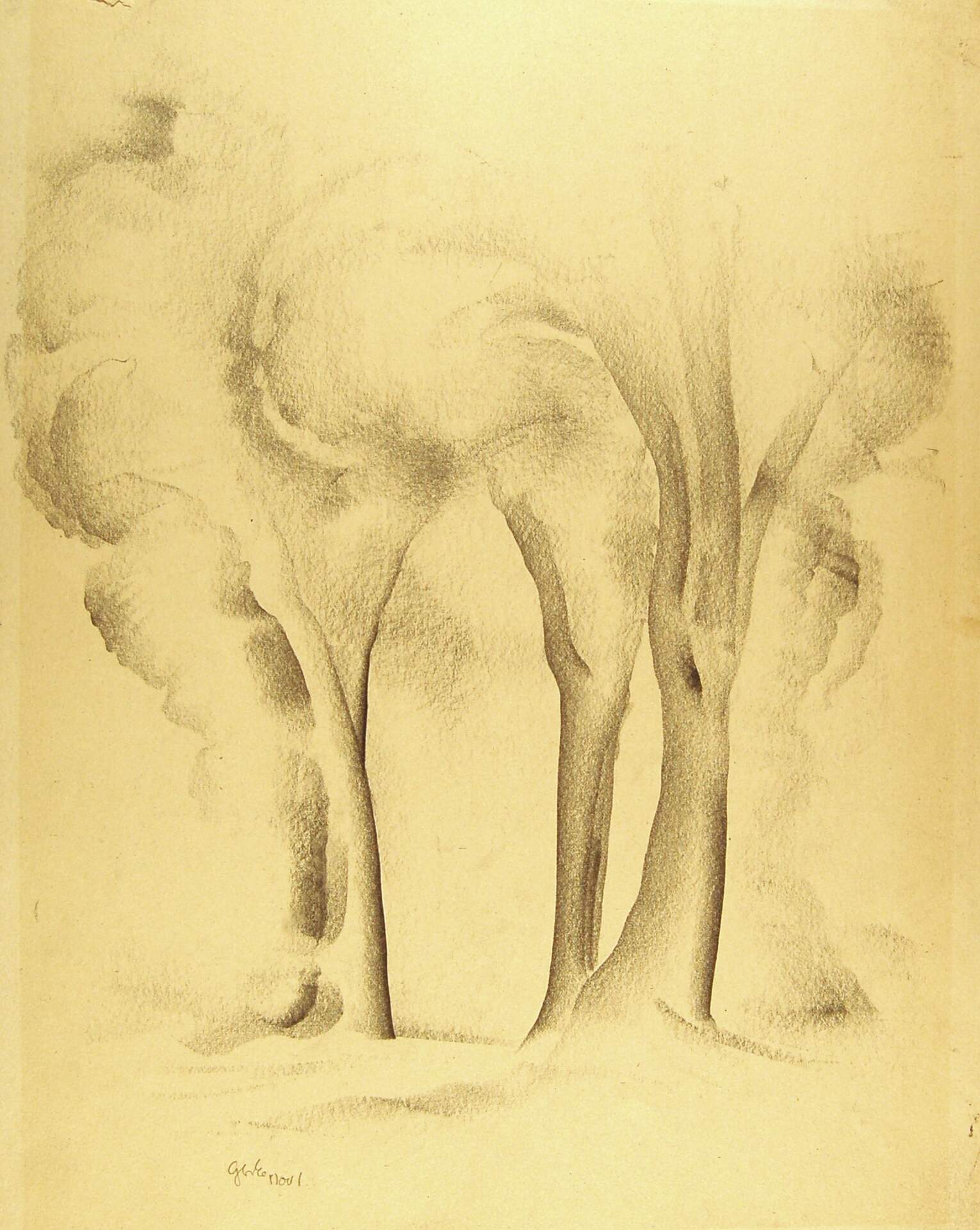 Four Trees