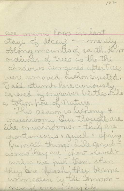 Untitled (Journal Page), Pg 102