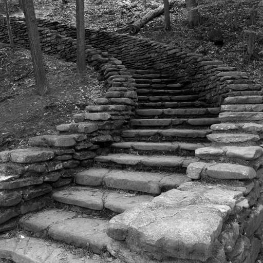 Stairs, Letchworth State Park, New York