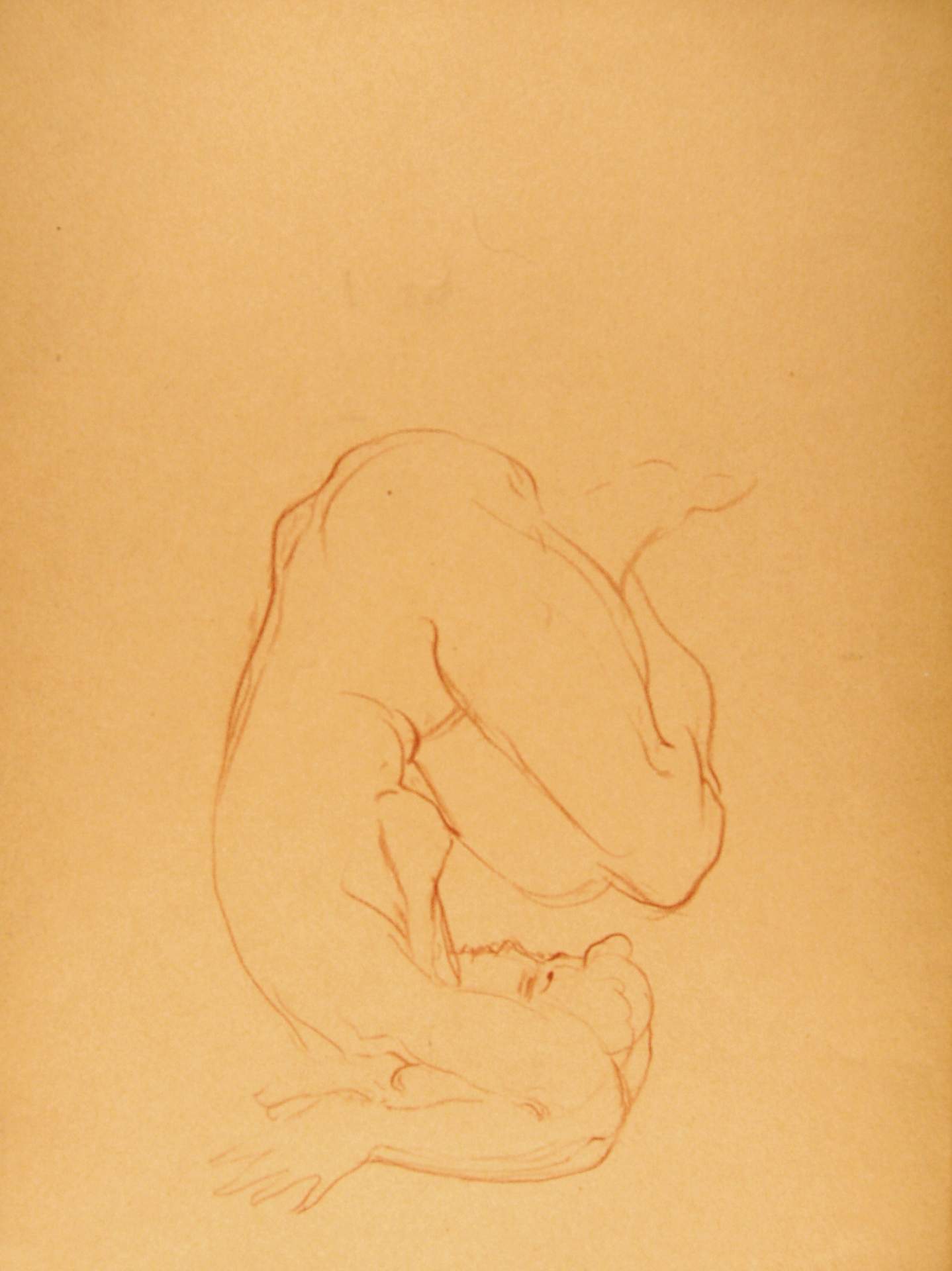 Seated Female Nude Arms Bent Over Head