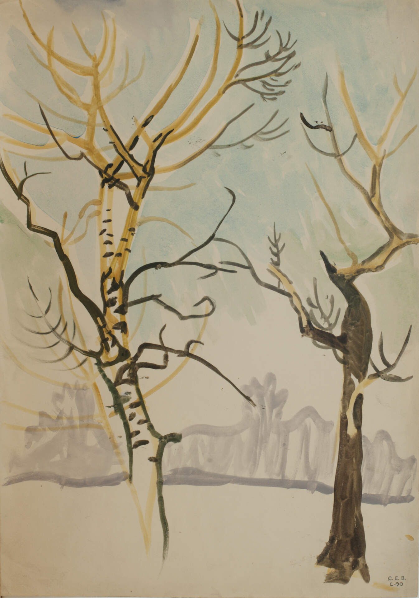 Birch Trees