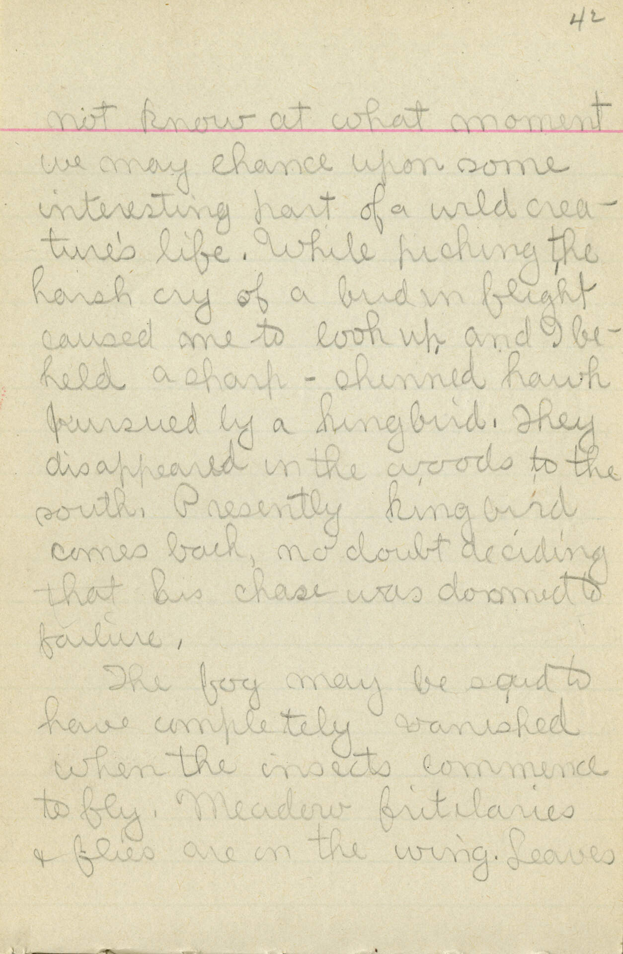 Untitled (Journal Pg 42)