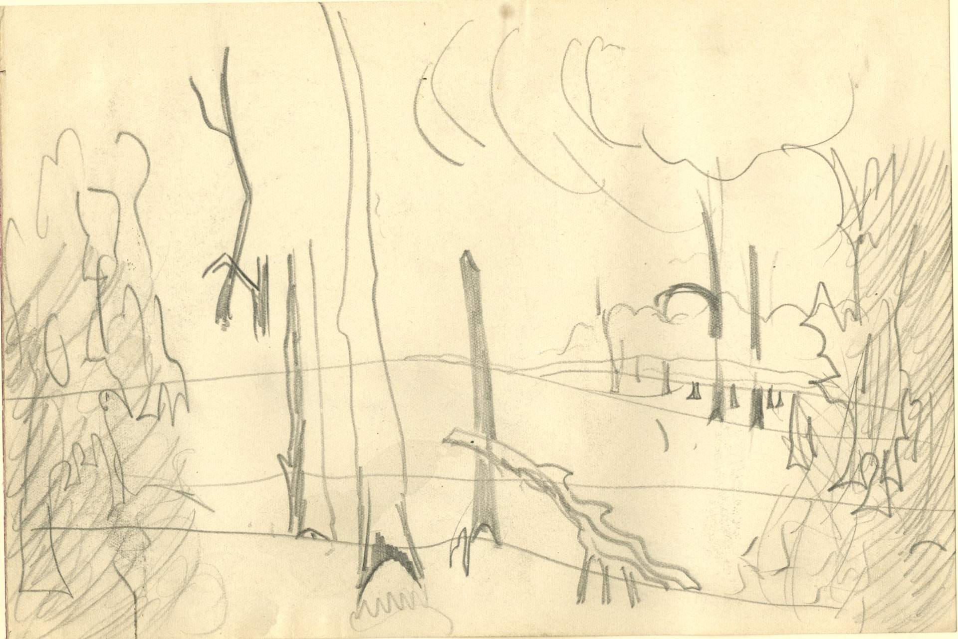 Sketch of trees in landscape