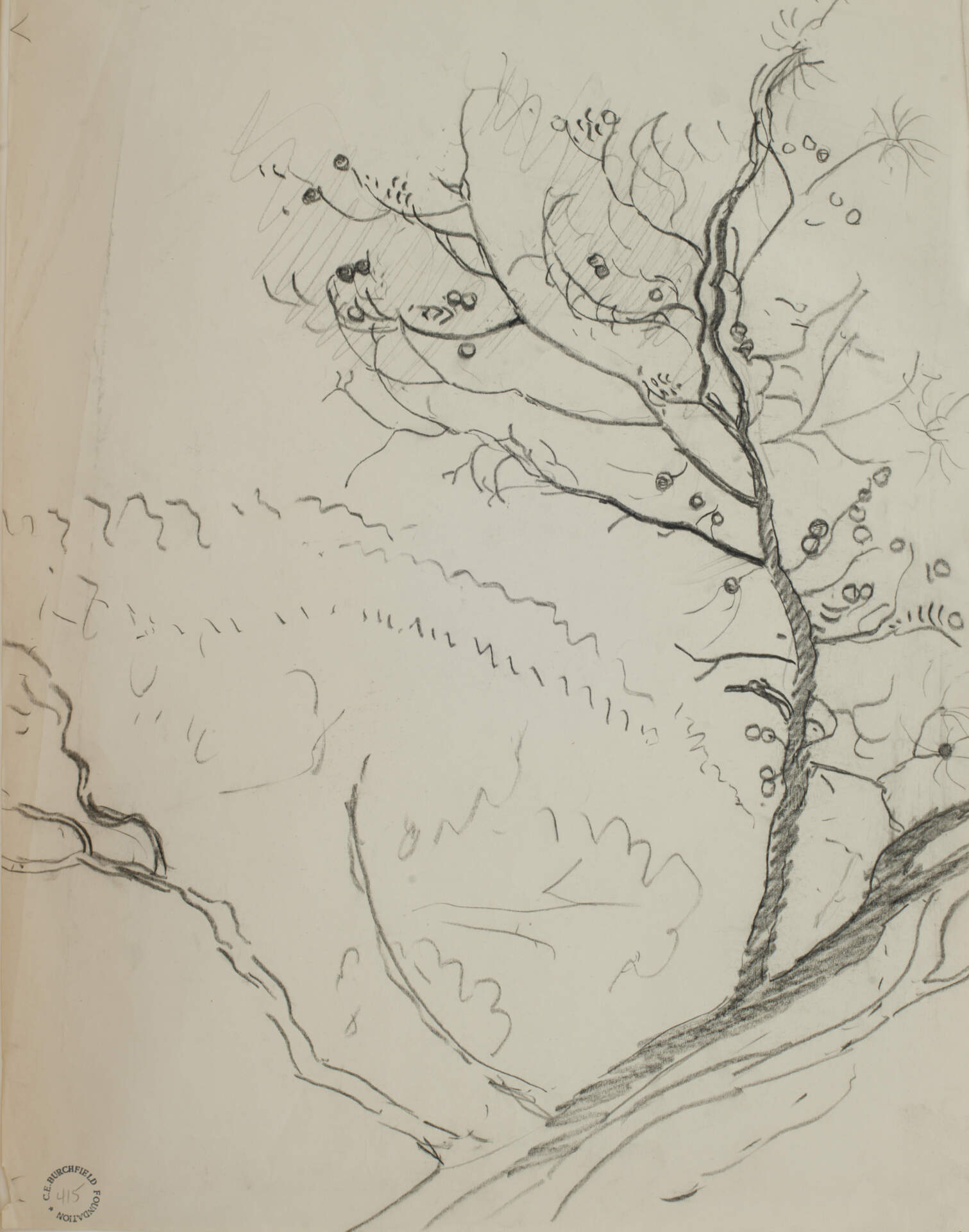 Tree Branch Fruit of Nut