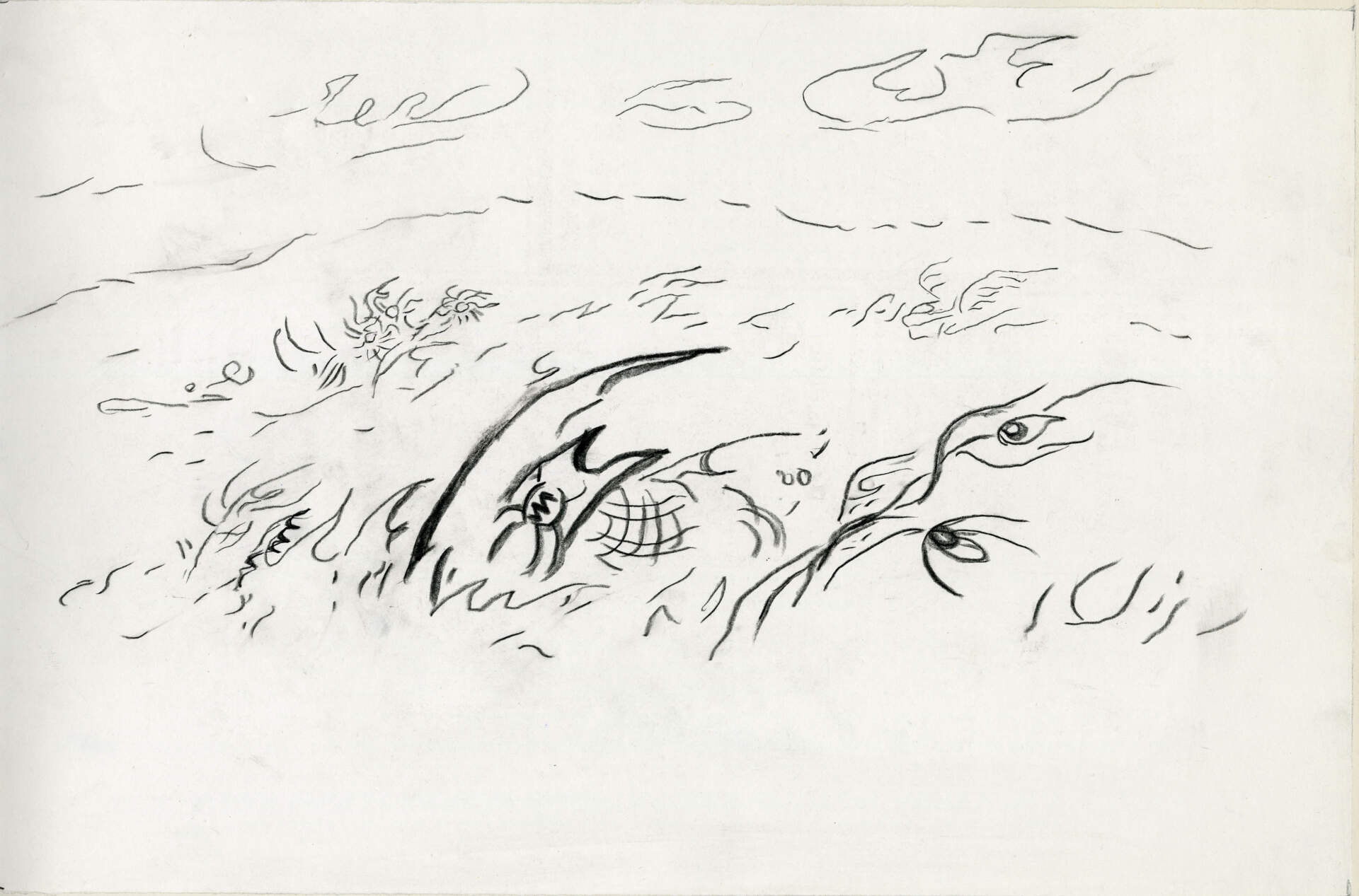 Untitled (Spider in Field)