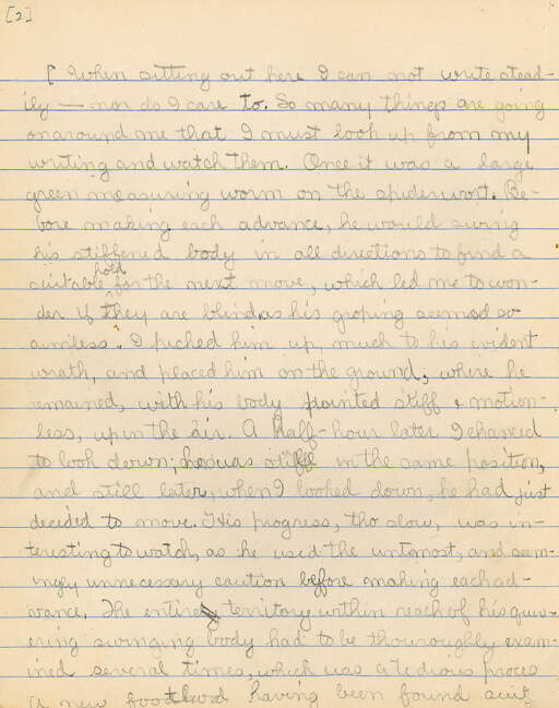Untitled (Journal Pg 2)
