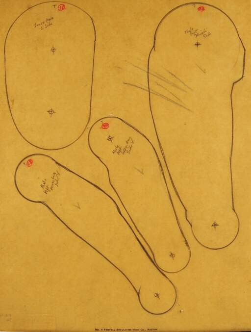 Limbs for Study Aid