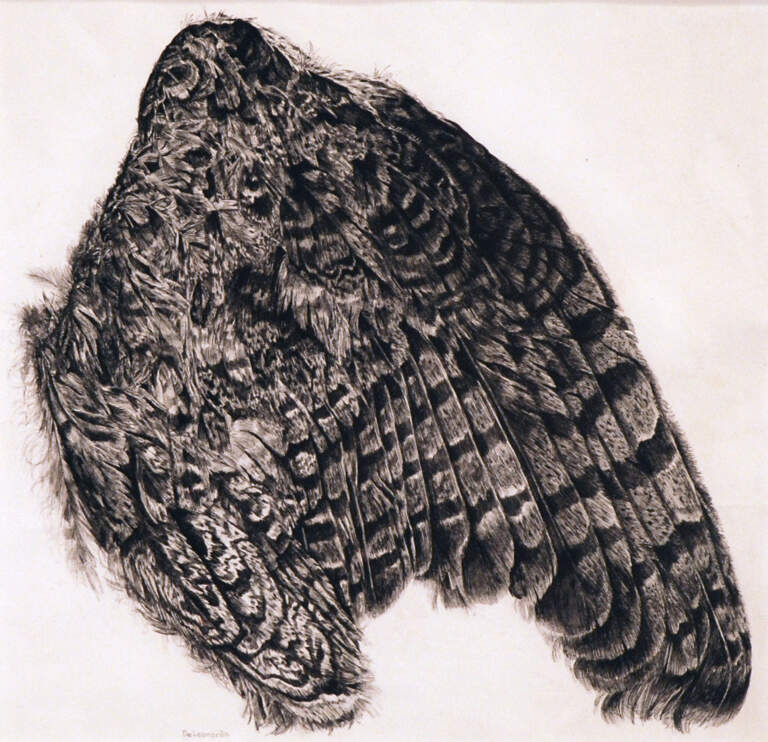 4th Western New York Purchase Award Collegiate Drawing Exhibition