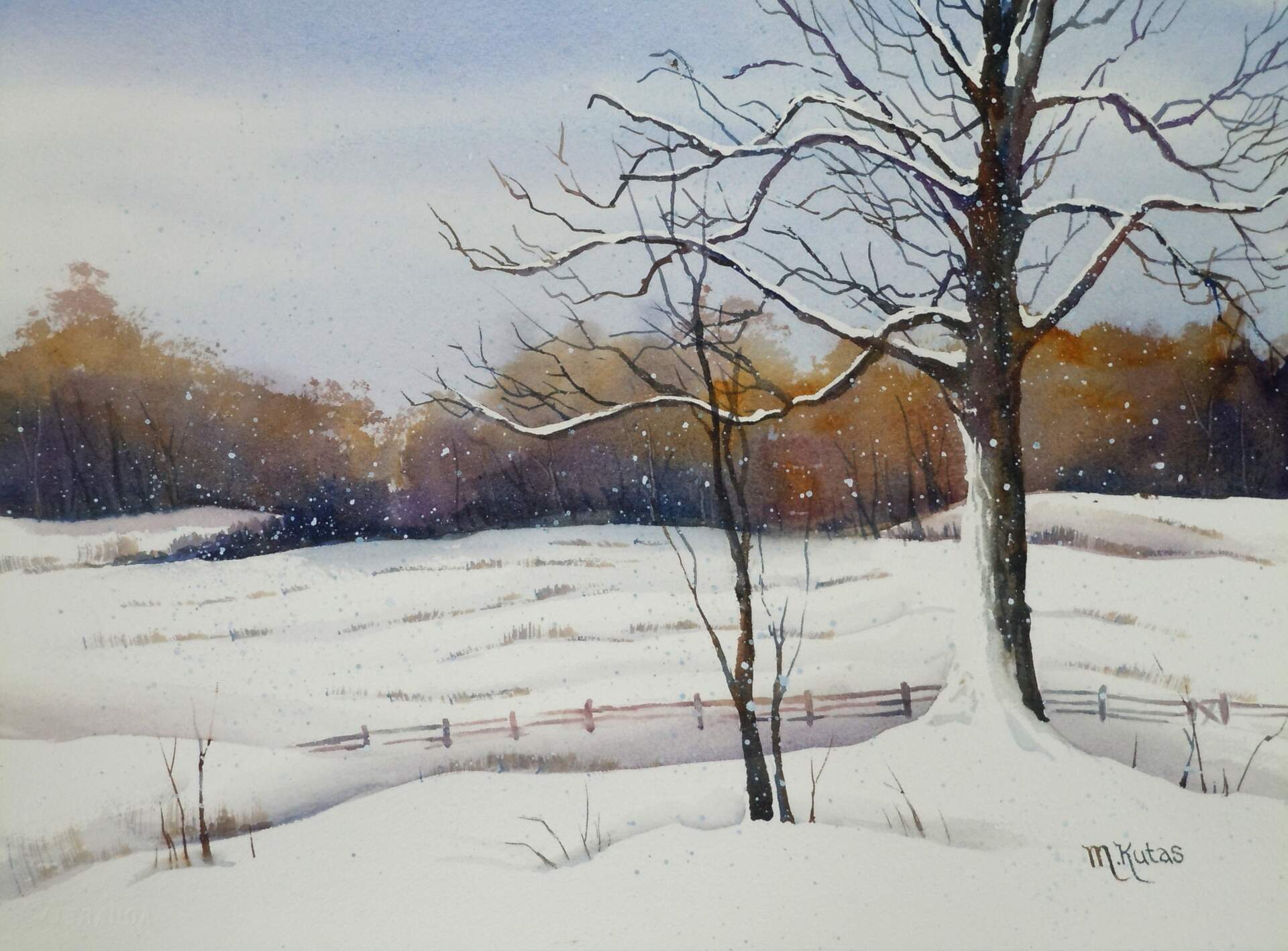 Winter Snow