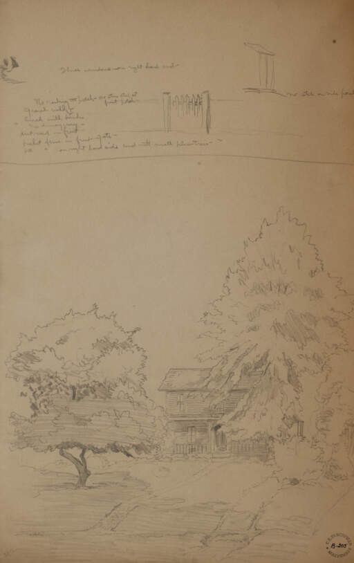 House Among the Trees