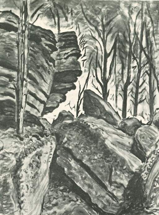 In the Ravine