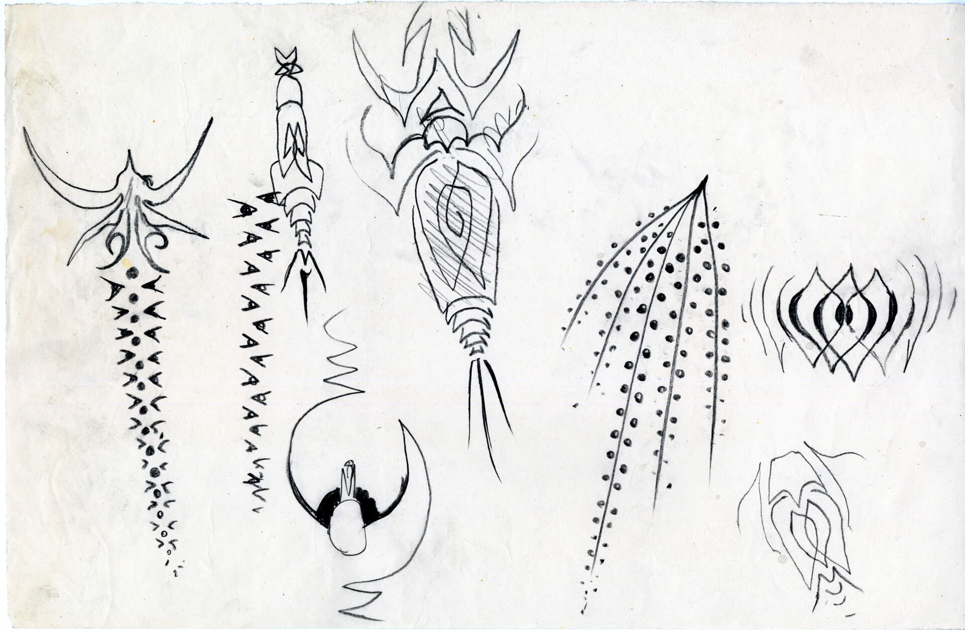 Study from the folio, 1917 &ndash; SPIDER
