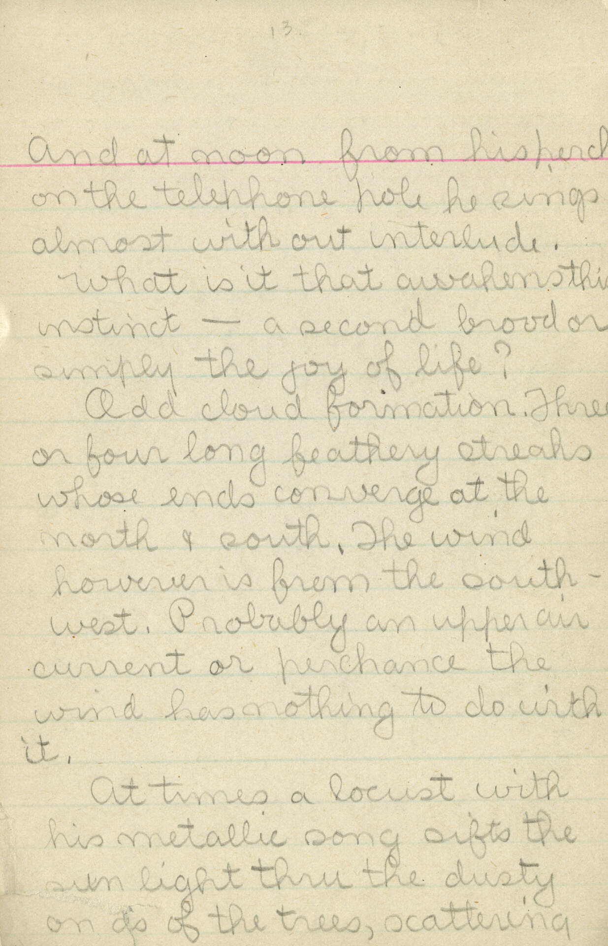 Untitled (Journal Pg 13)