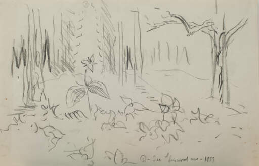 Forest Floor, Wildflower Study See Linwood Ave.1957