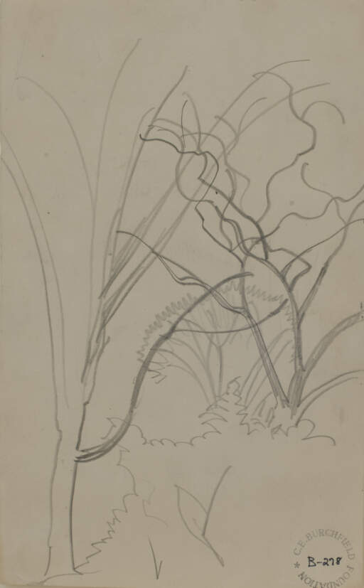 Tree Branches