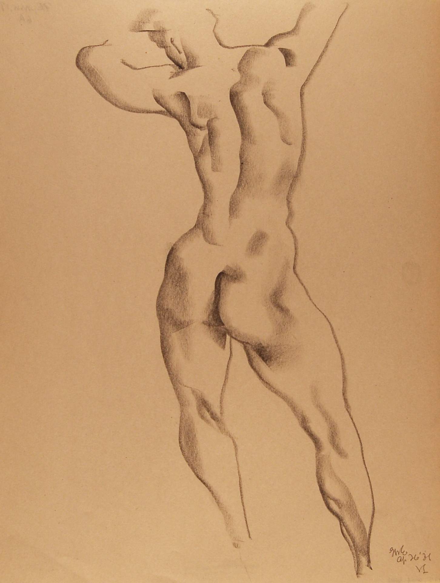 Backview Of Standing Male Nude