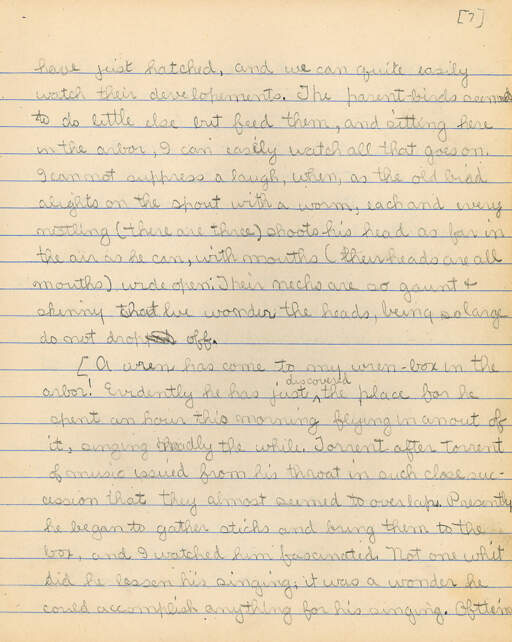 Untitled (Journal Pg 7)