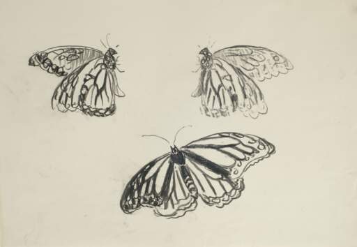 Untitled (Monarch butterflies)
