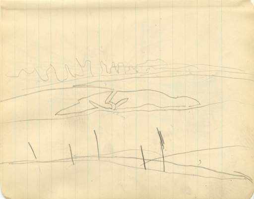 Sketch of field