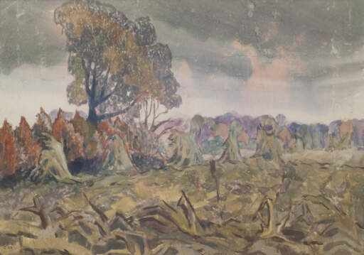 Trees In Field