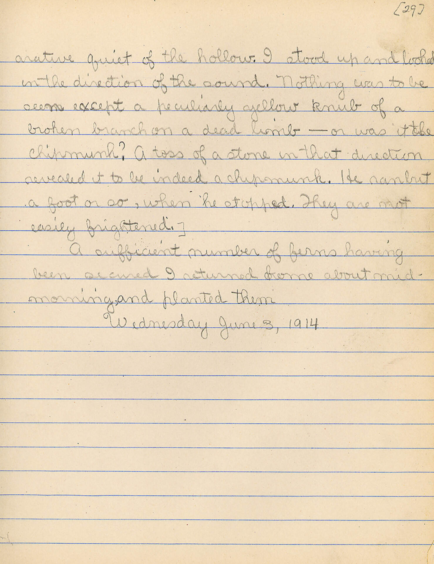 Untitled (Journal Pg 29)