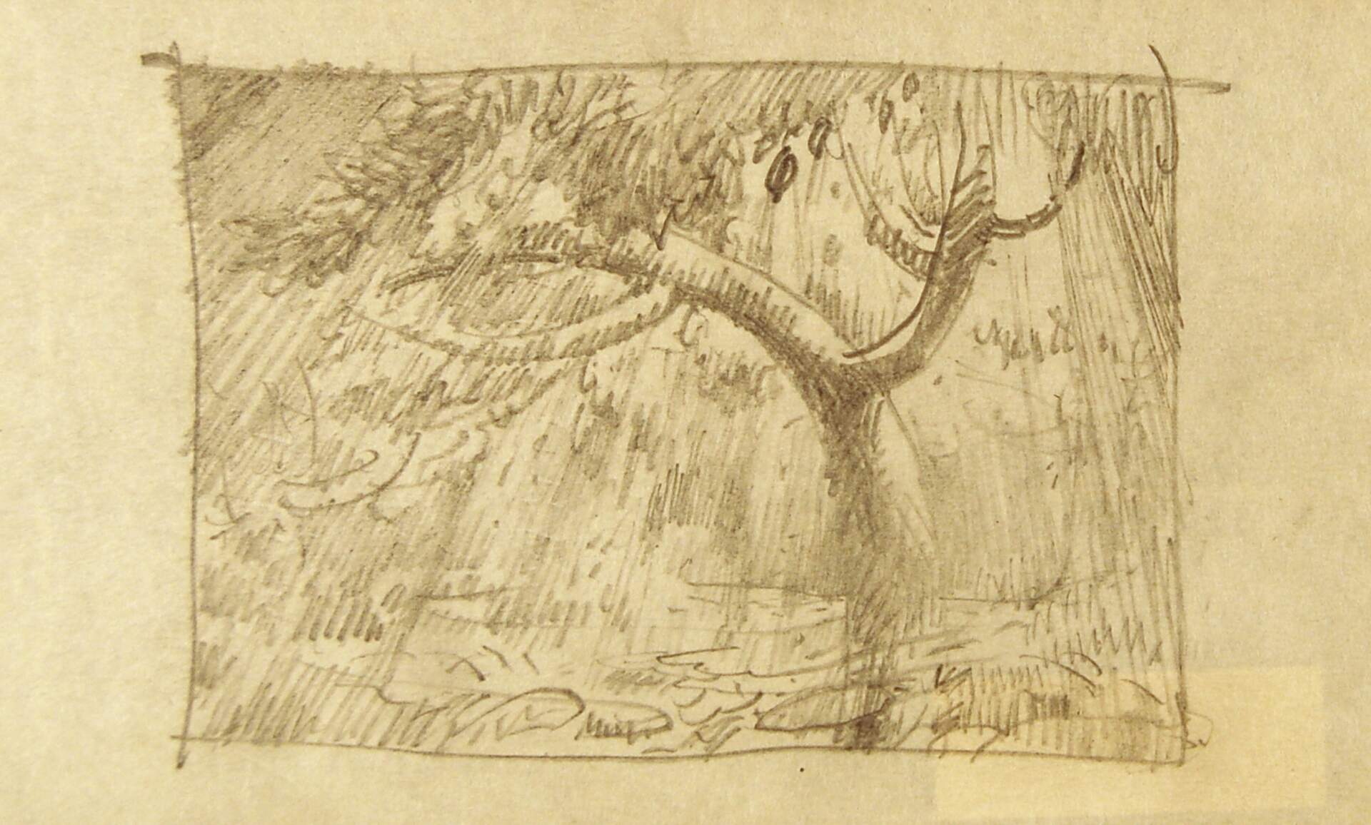 Landscape with Tree