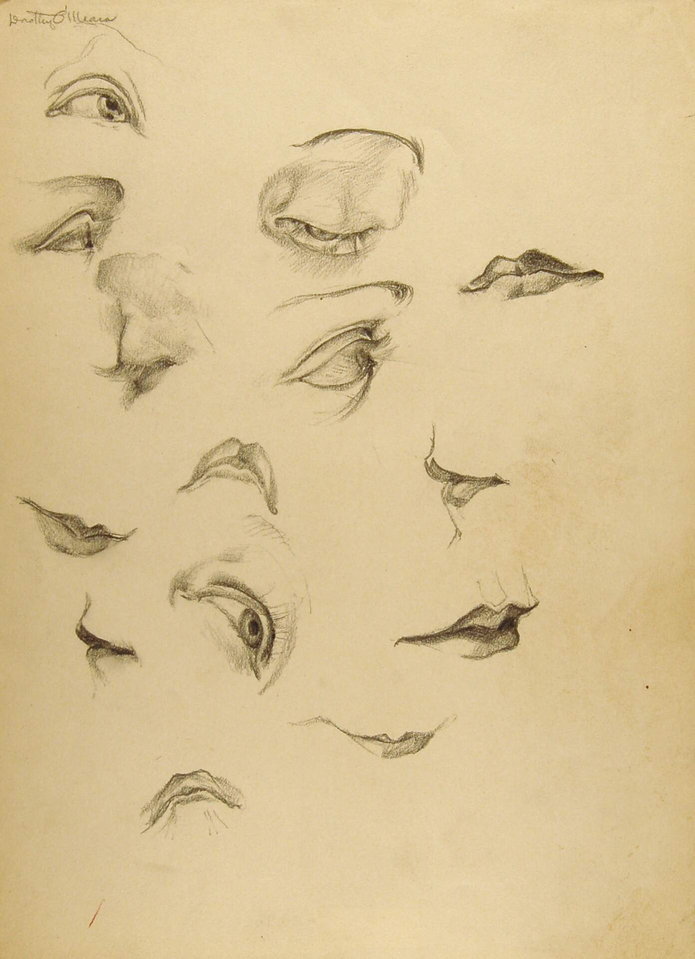 Sketches of Eyes and Mouths