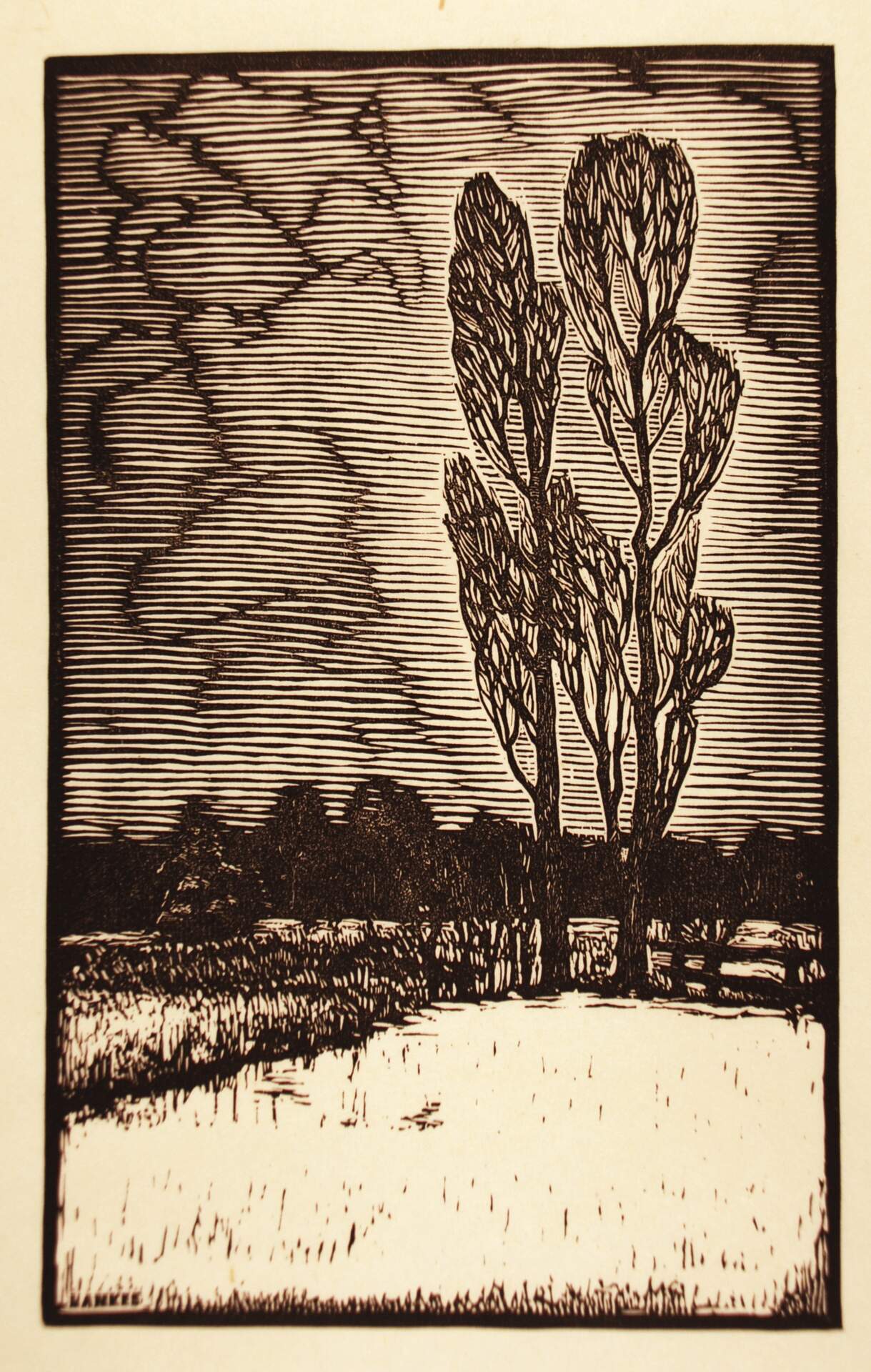 Two Poplars in Winter