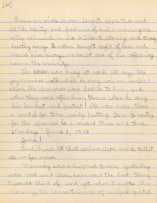 Untitled (Journal Pg 24)