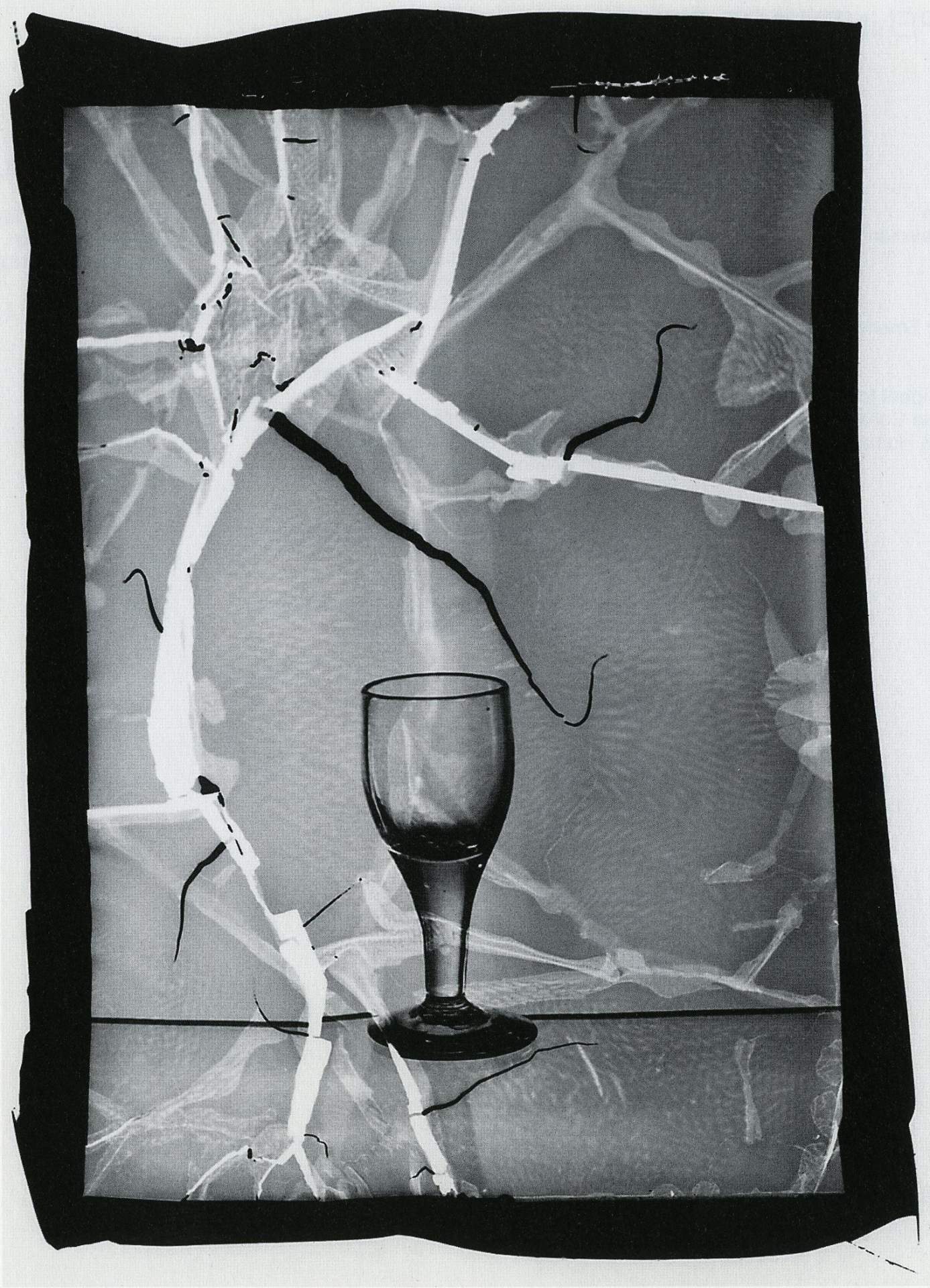 Wine Glass II