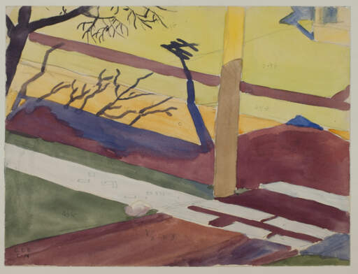 Untitled (Trees and Telegraph Poles with Shadows)
