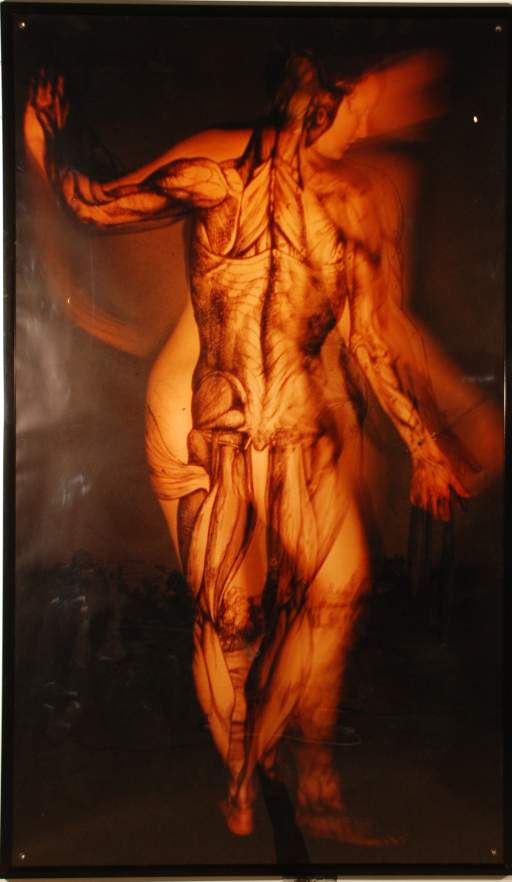 Untitled, from the series, Veiled Dissections, 1997