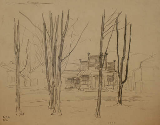 Trees and Buildings In Winter