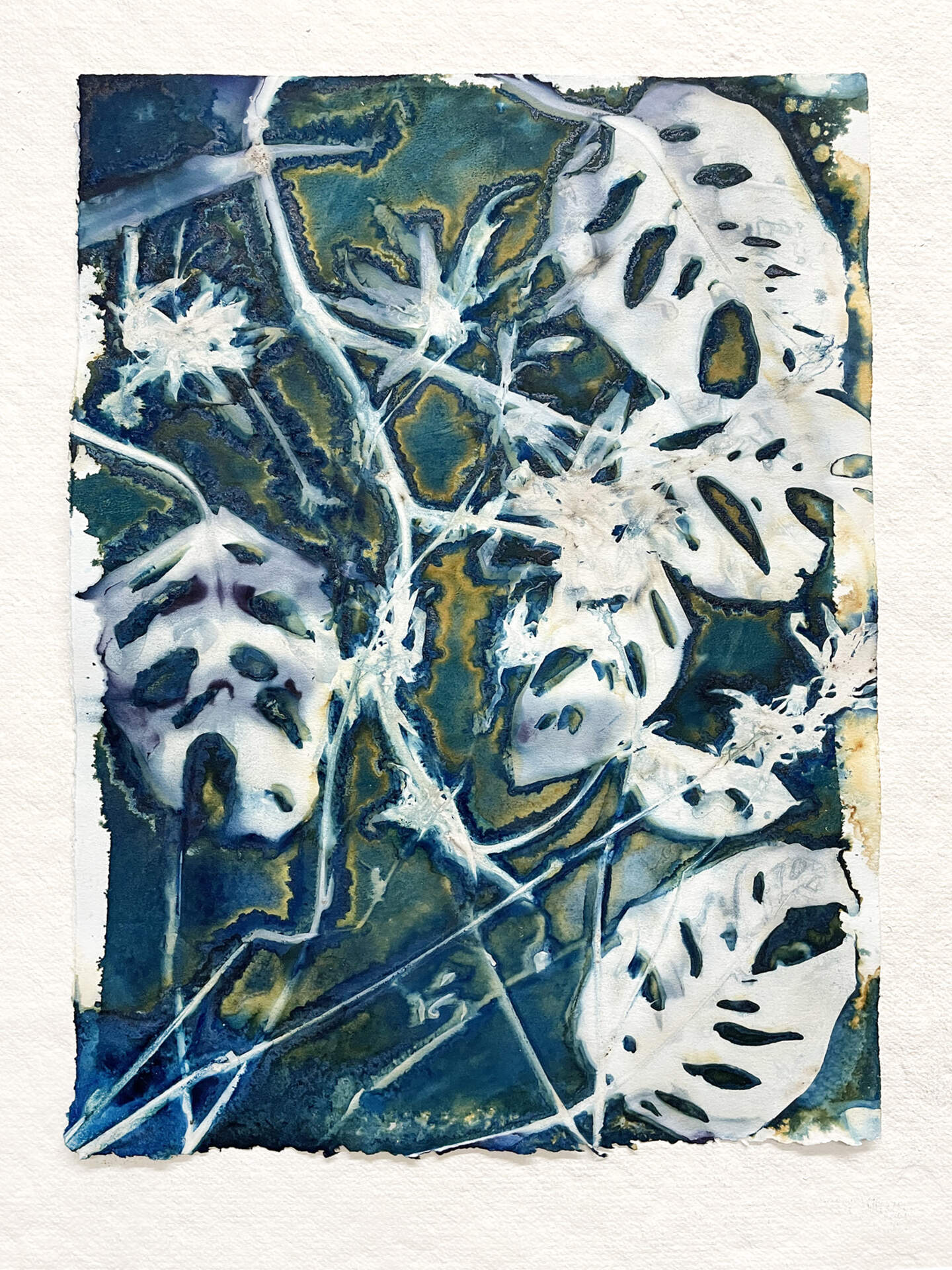 Florilegium (1)