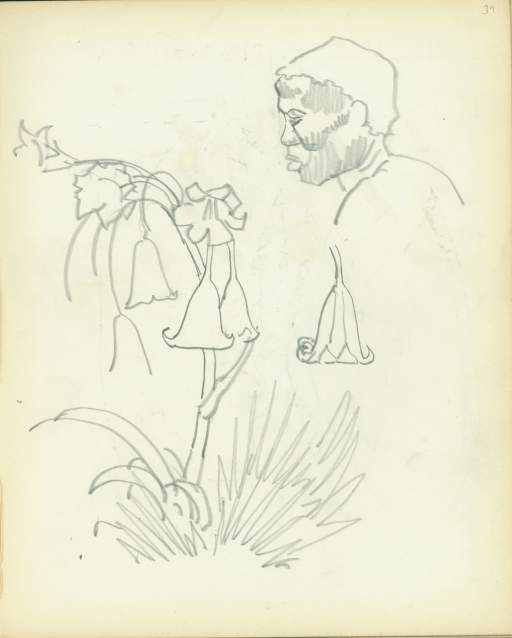 Untitled (lillies and man sketch)
