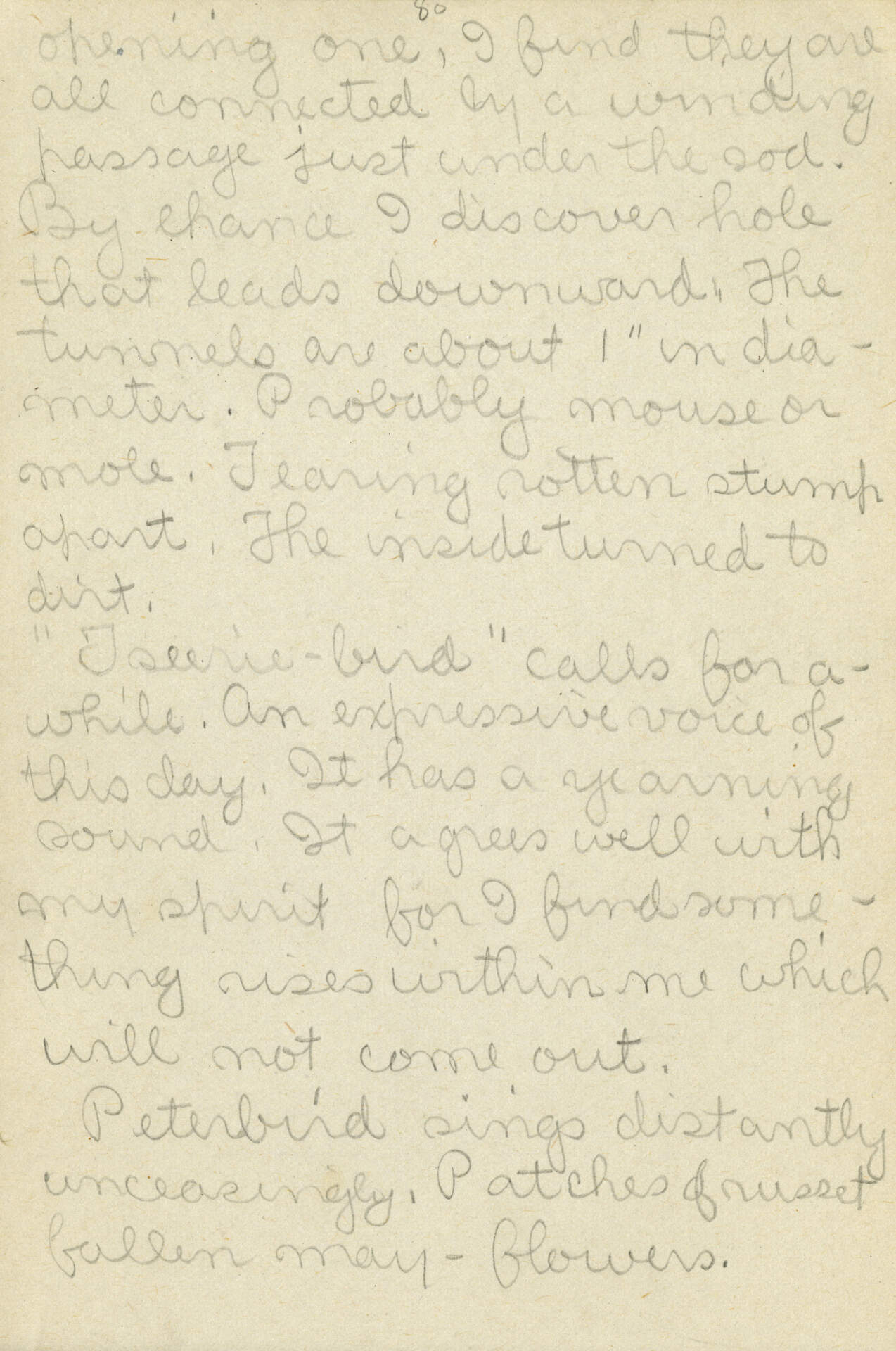Untitled (Journal Page) pg. 80