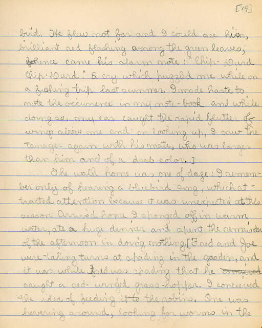 Untitled (Journal Pg 19)