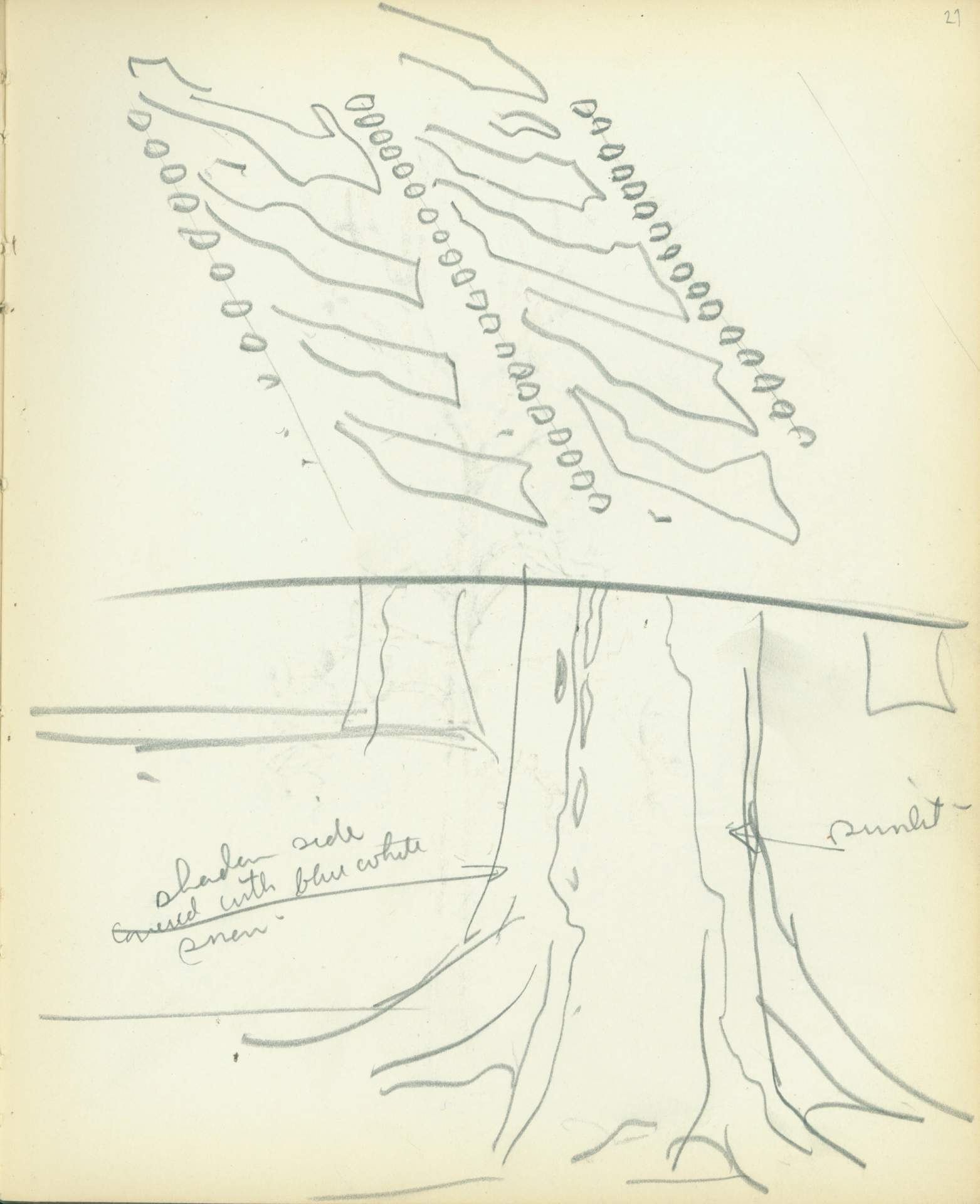 Untitled (tree and snow sketches)