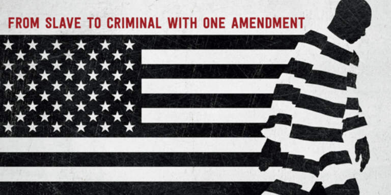 13th Directed by: Ava DuVernay (2016)
