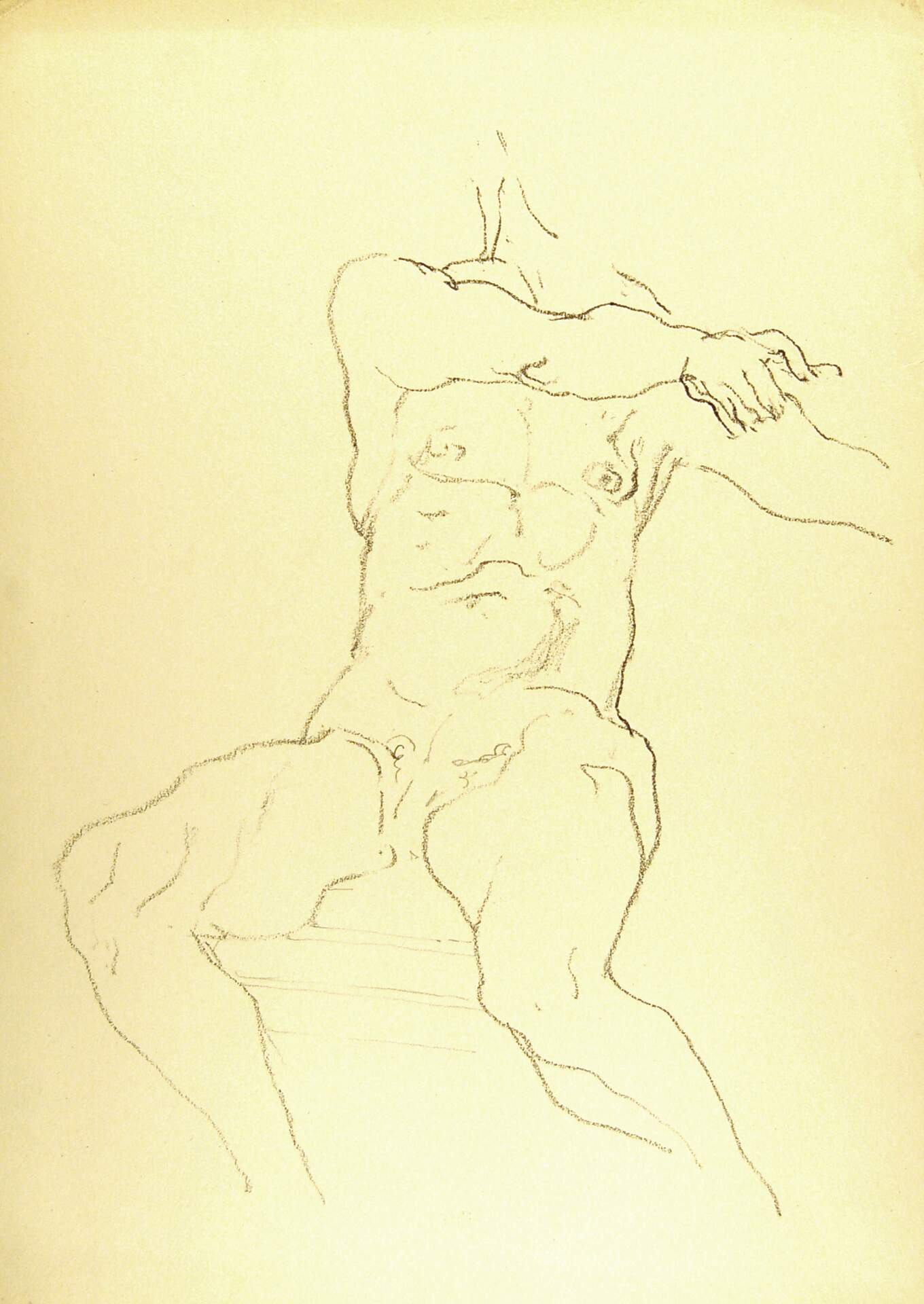 Seated Male Nude