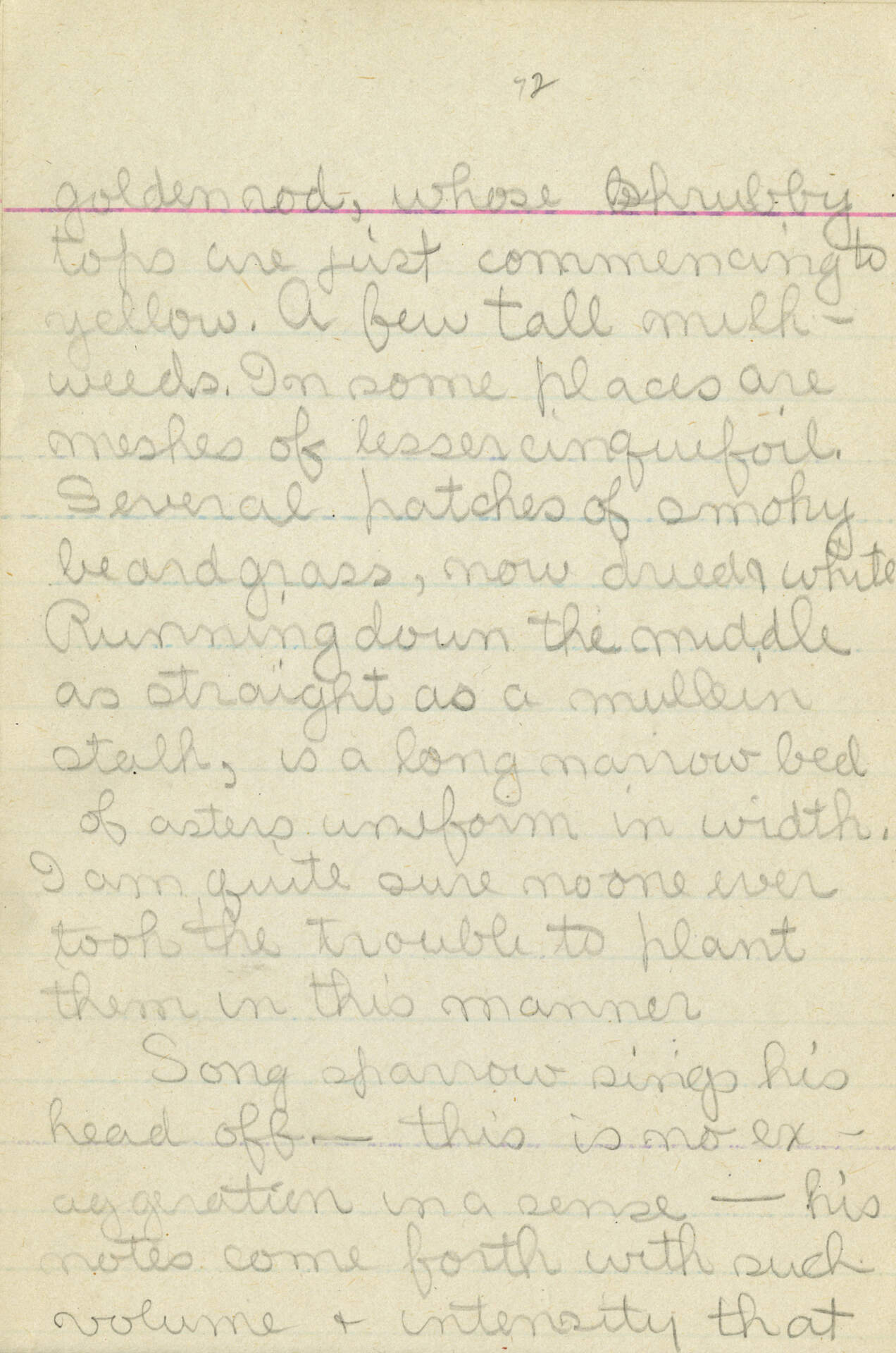 Untitled (Journal Page) pg. 72