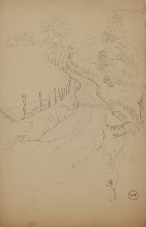 Winding Country Road