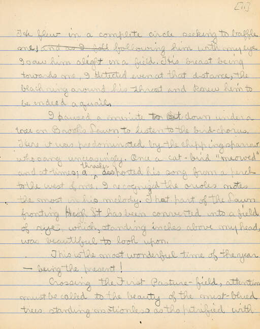 Untitled (Journal Pg 11)