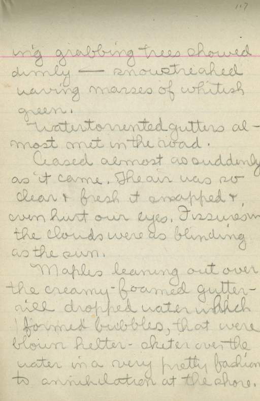 Untitled (Journal Page), Pg 117